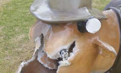 Locals urged to help find Mooving Art Vandals 