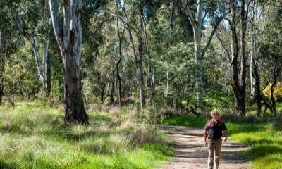 Immerse yourself in Indigenous culture with a walk on the Flats