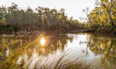 Improve your health and wellbeing with Meditation by the River