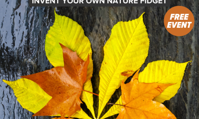 Invent Your Own Nature Fidget