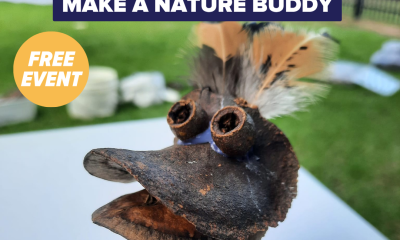 Make a Nature Buddy