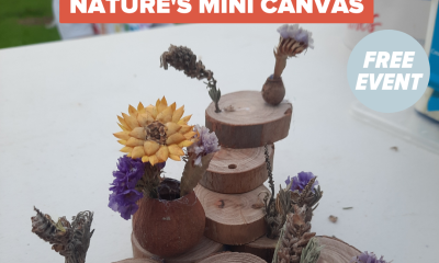 Nature’s Mini Canvas