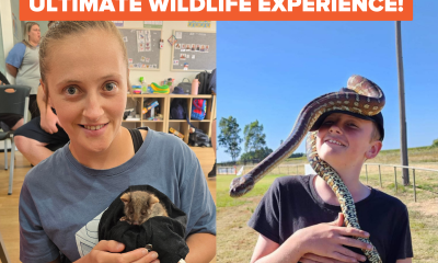 Ultimate Wildlife Experience