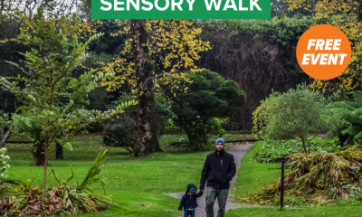 Mindfulness Journey: Sensory Walk